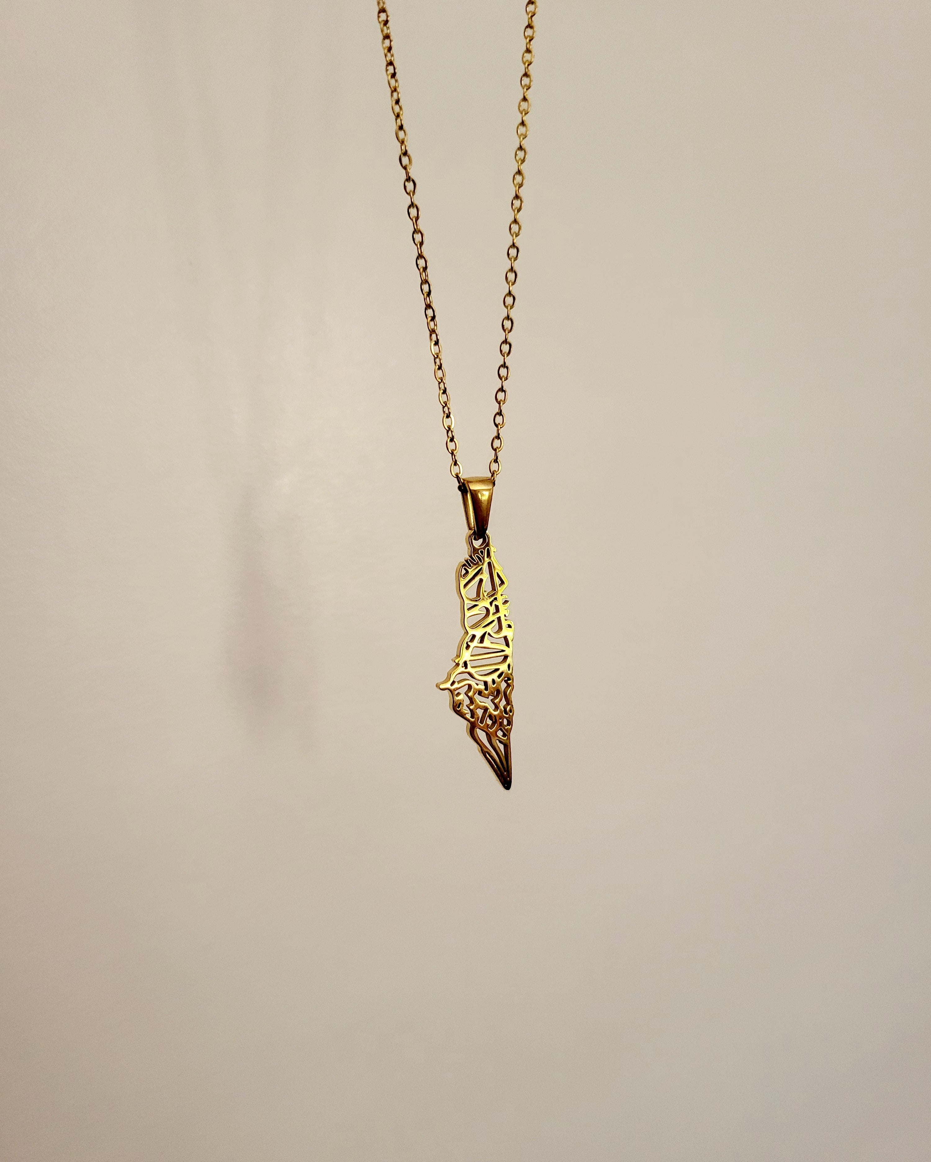 Palestine map necklace